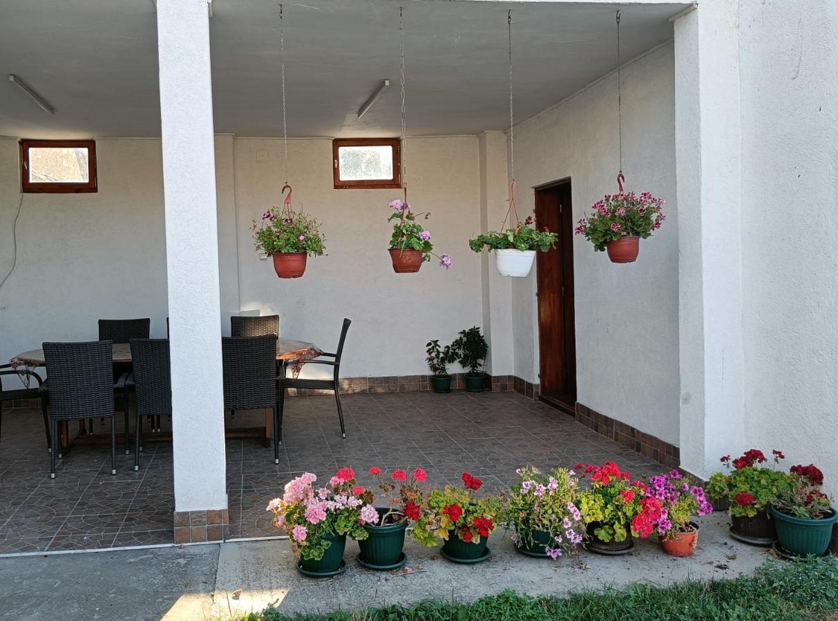 Privatna Soba Dusan Surčin Екстериор снимка